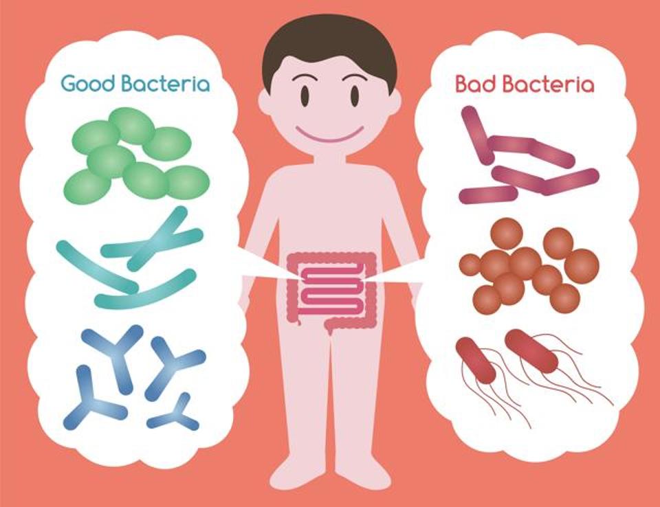 good-vs-bad-bacteria