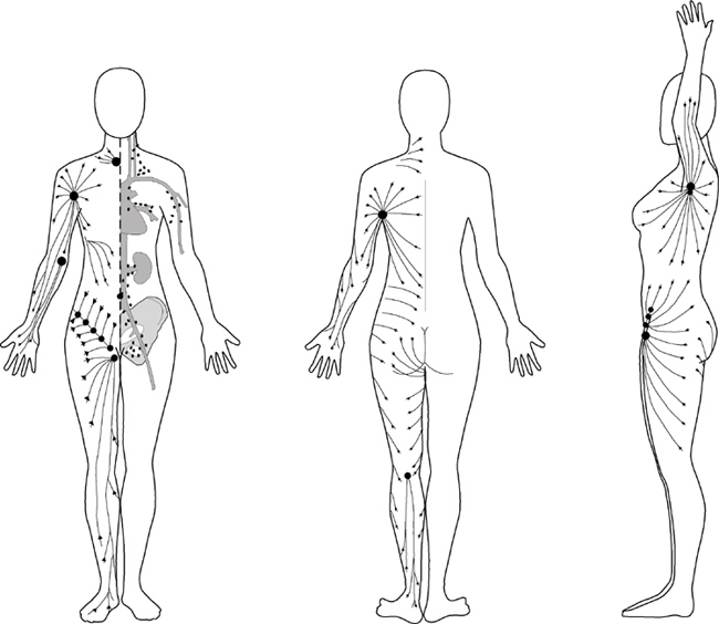 The-Bed-Massages-The-Lymph-Glands-Too