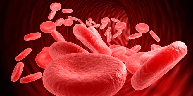 10.-Decreased-RBC-and-WBC-Counts-1