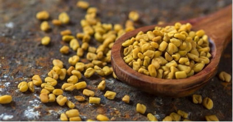 10.--Fenugreek-seeds