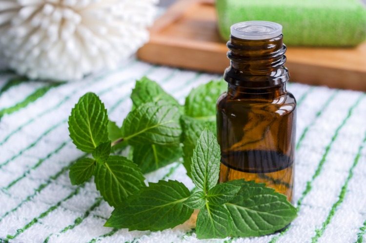 18-Peppermint-Oil-