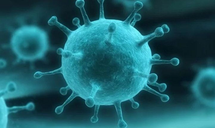 Nipah Virus (NiV) Infection Risks, Symptoms, Diagnosis, Treatment & Prevention